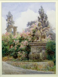 Roses de Chine, Villa Imperiali, Gênes